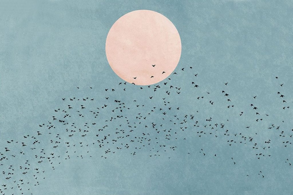 Plenilunio con uccelli in volo